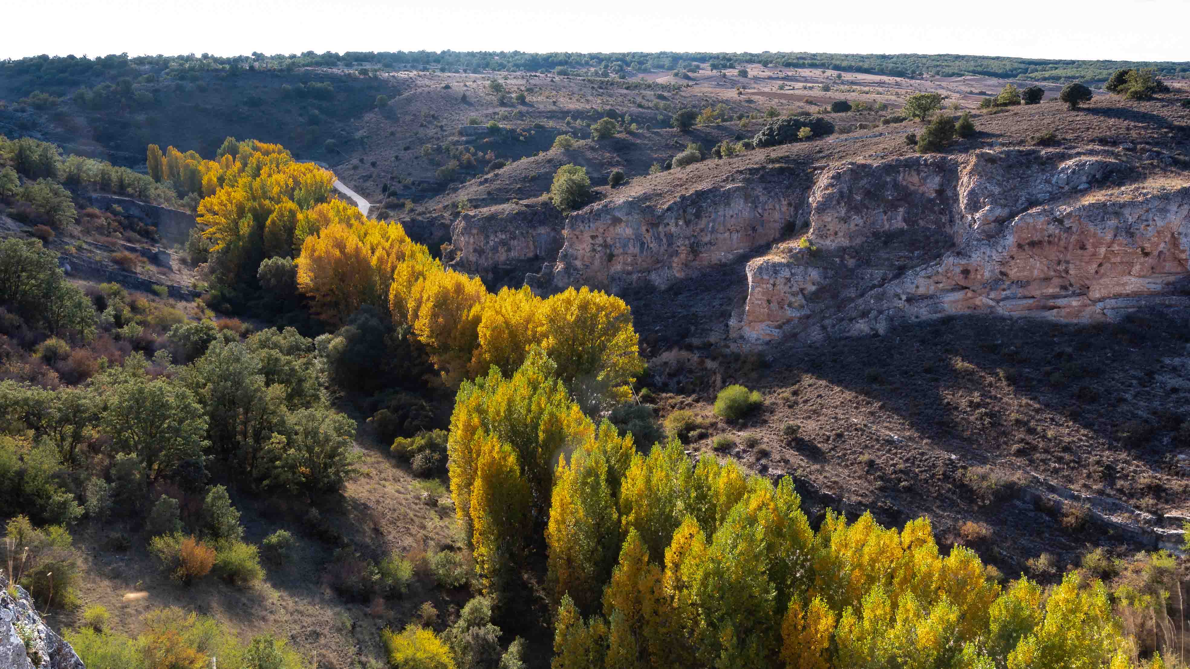 Alcolea del Pinar y su entorno