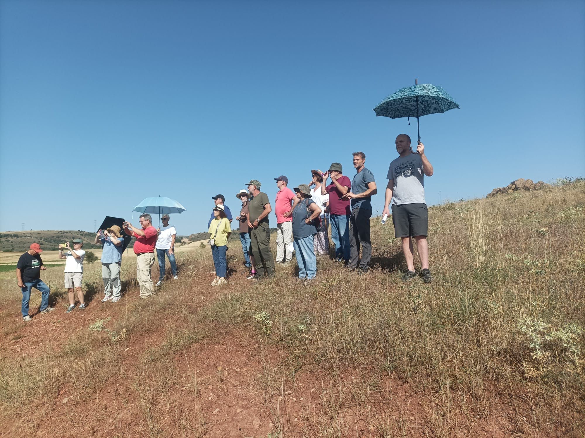 Jornada Arqueológica: viaje a la celtiberia