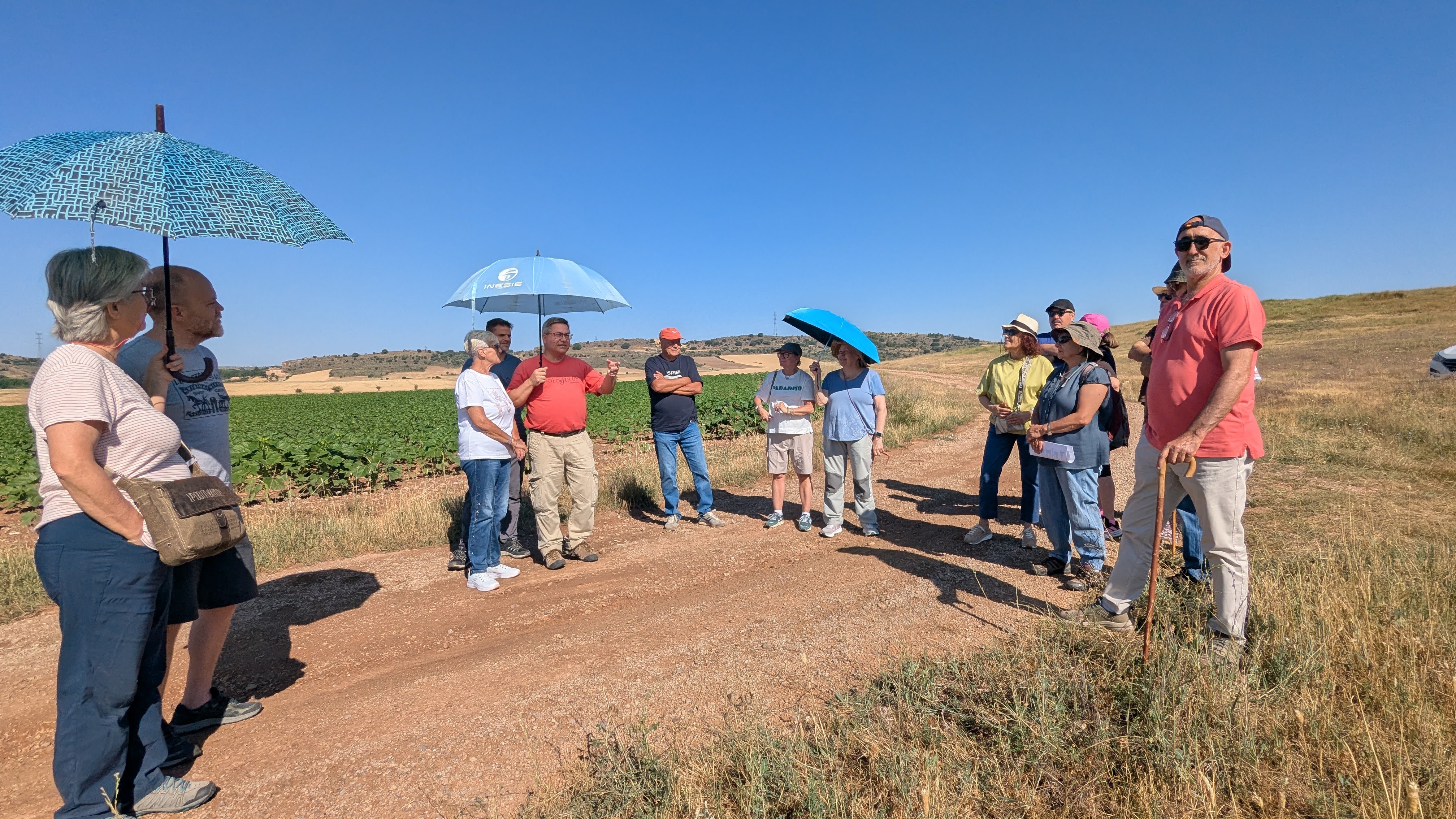 Jornada Arqueológica: viaje a la celtiberia