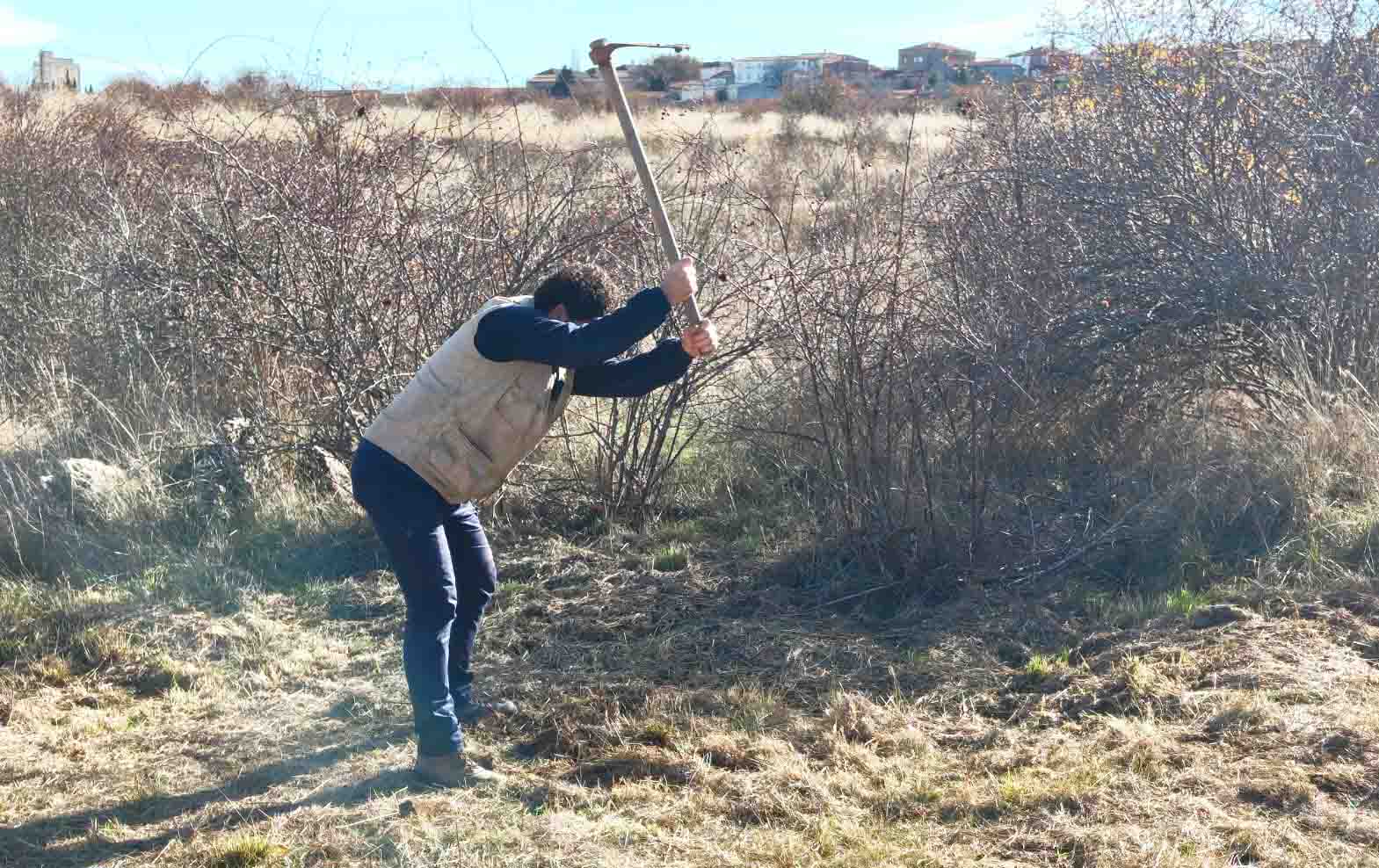 Renaturalización Parque Forestal La Dehesa