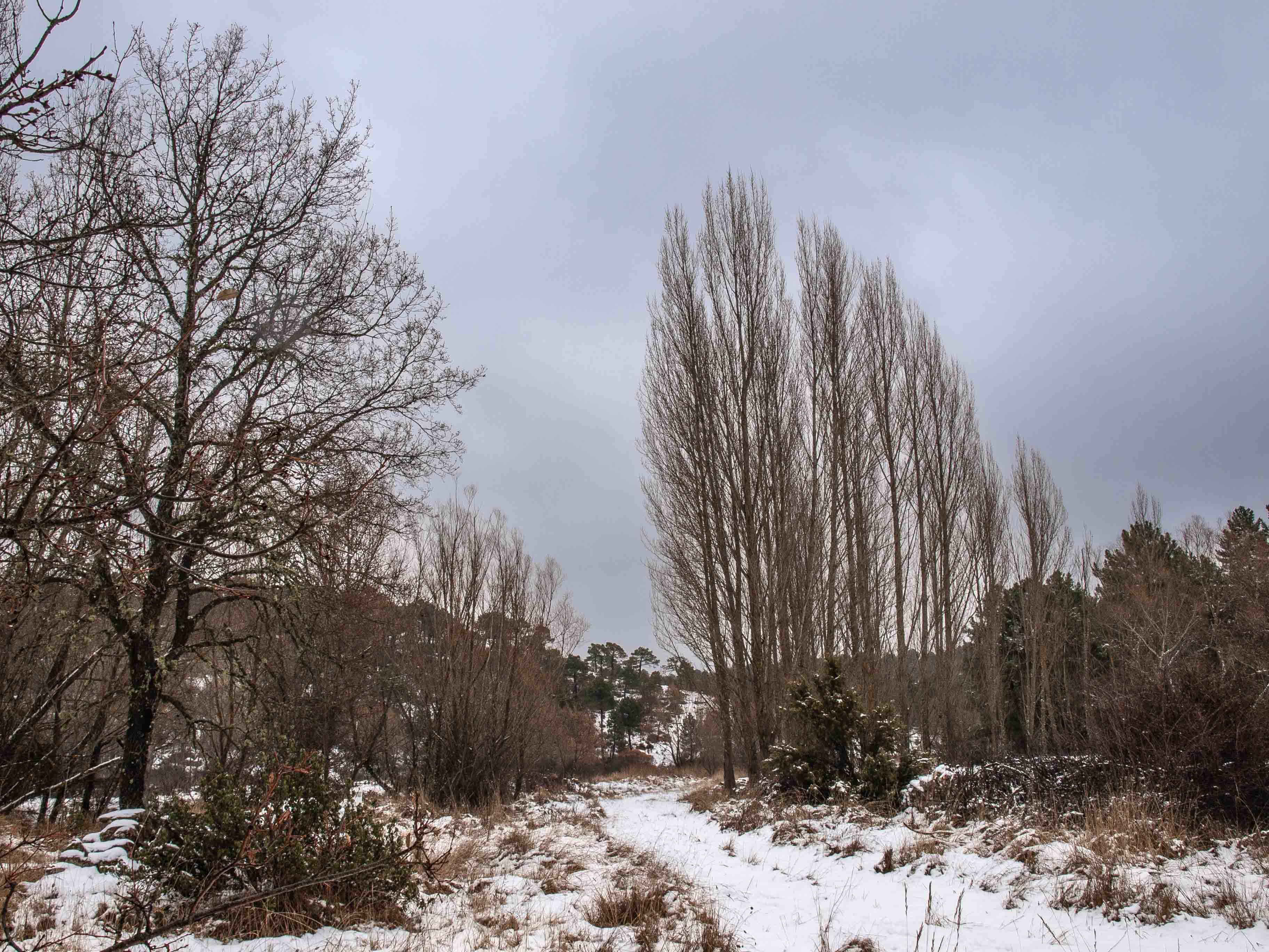 Rutas por el entorno natural