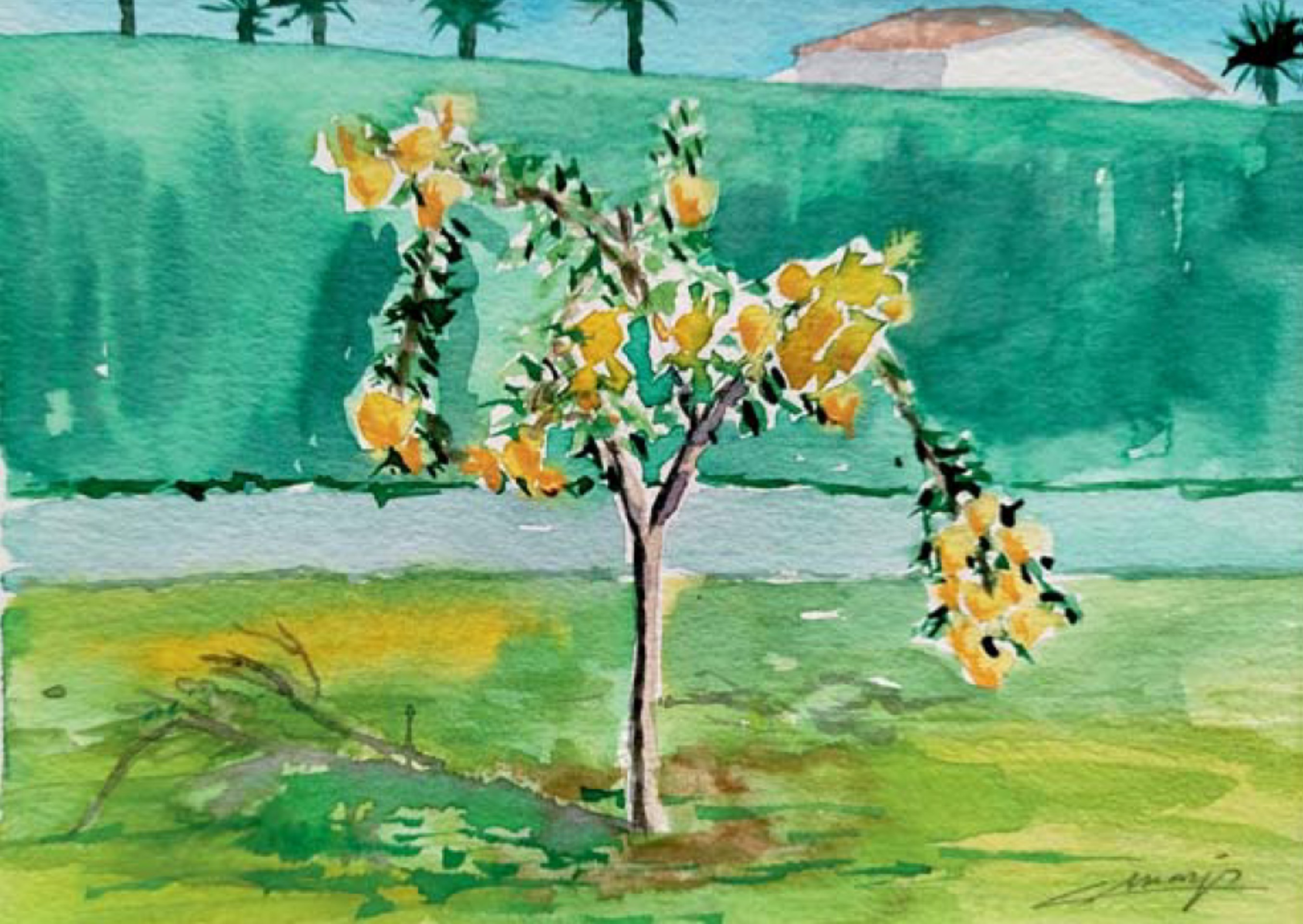 Pequeños paisajes de España. Acuarelas de Concha Márquez