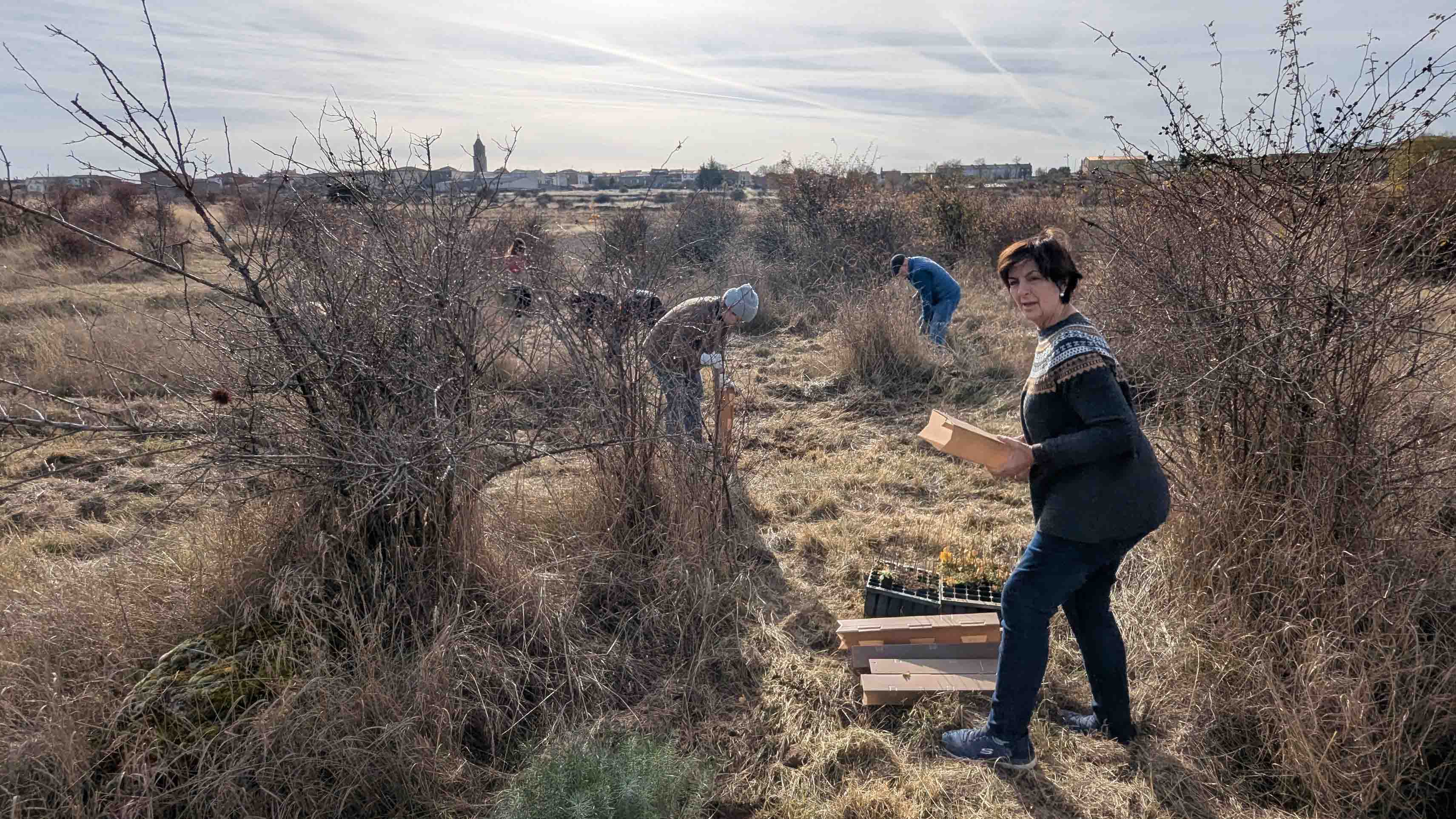 Renaturalización Parque Forestal La Dehesa