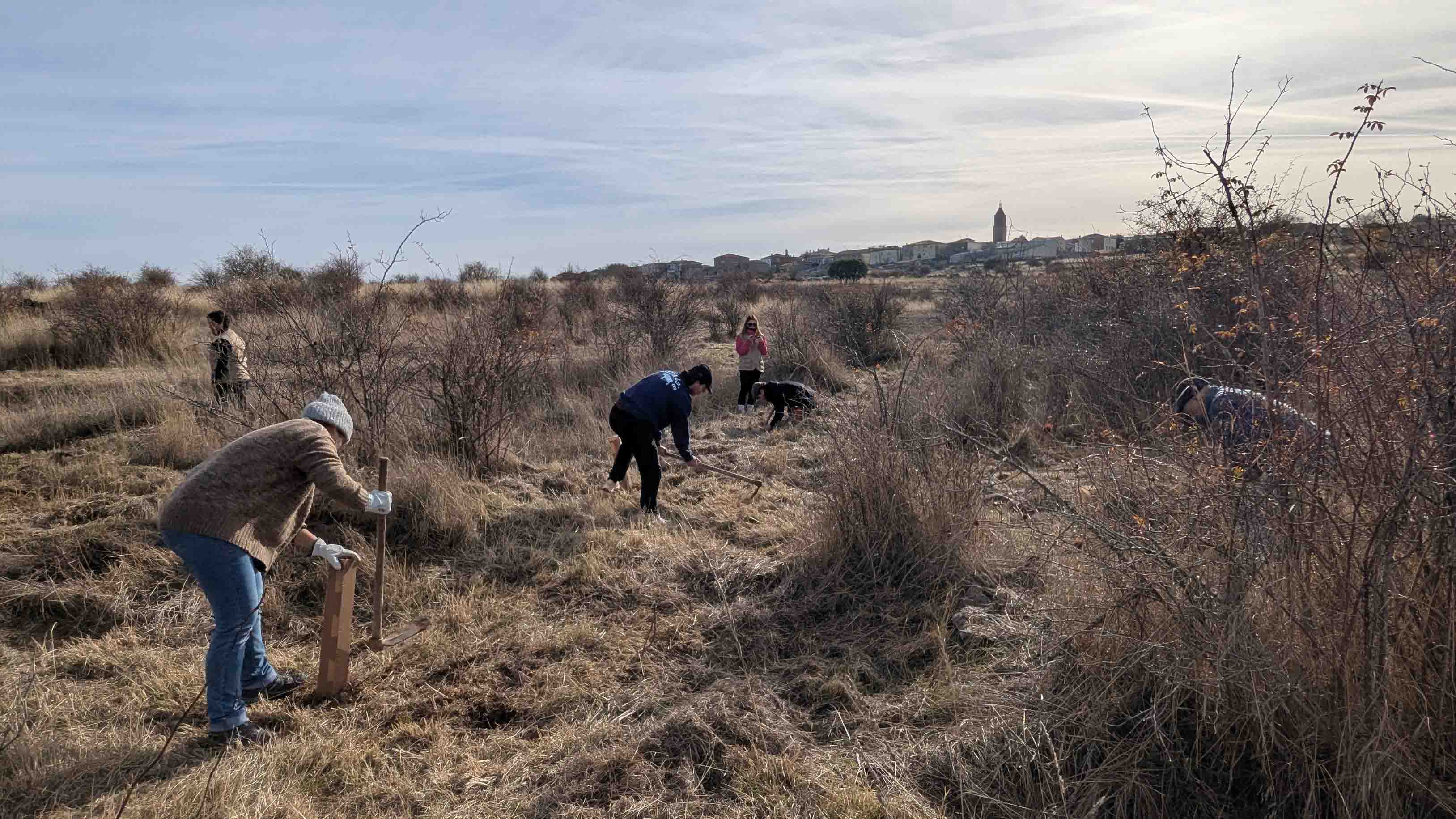 Renaturalización Parque Forestal La Dehesa